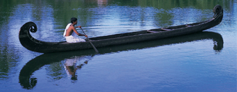 Voyages au Kerala en Inde